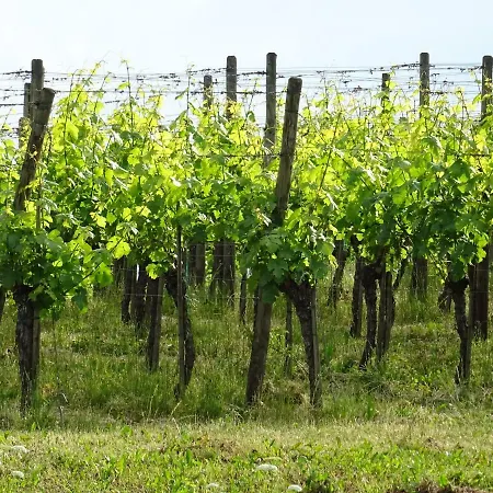 Am Fohrenberg * 미르스부르크